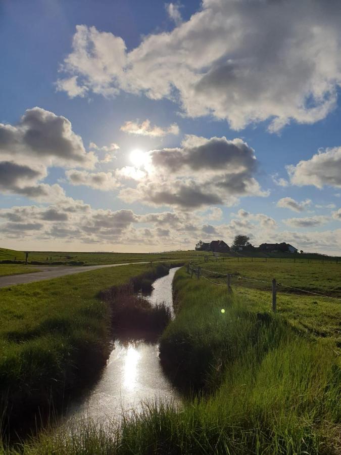 Hare Ferienwohnungen Langeneß Exterior foto