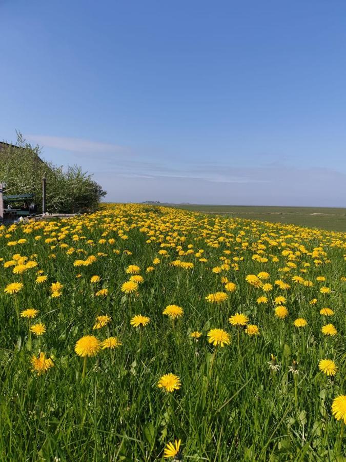 Hare Ferienwohnungen Langeneß Exterior foto